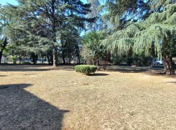 Terreno , Córdoba · Oportunidad Para Duplex Mas Locales a m del Paseo Rivera
