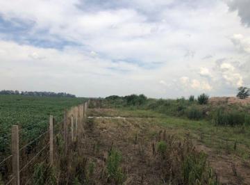 RFP-RFP-226_2 · Campo 32 Hectáreas |. | 1514