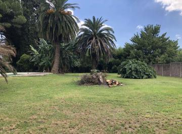 RFP-RFP-256_3 · Lote. | San Juan Al 500