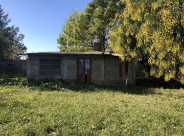 RFP-RFP-270_3 · Lote. | Lucio V Lopez