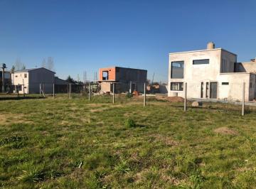 RFP-RFP-606_2 · Lote. | Patagones Al 900