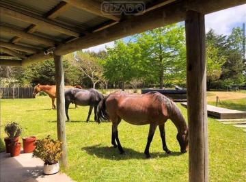 Campo · 55000m² · Venta Terreno Campo Chacra Hotel Posada Ruta 104 Piscina Parrillero Jardín Estufa a Leña Manantiales