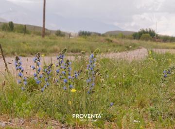 Campo en Venta   · La Carrera, Tupungato