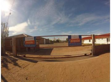 Bodega-Galpón · 736m² · Alquilo Base en Rincón de Los Sauces.