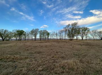 Terreno , Los Reartes · Venta de Terreno en Los Reartes - Tlc0639