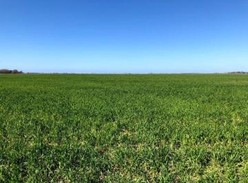Campo · 472ha · Campo - Chascomus