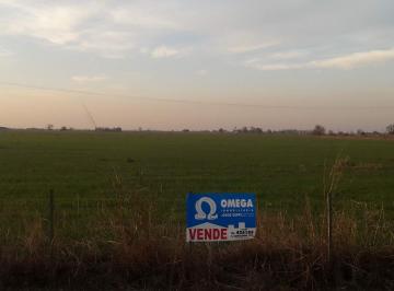 Foto · Zona Rural Calchaquí