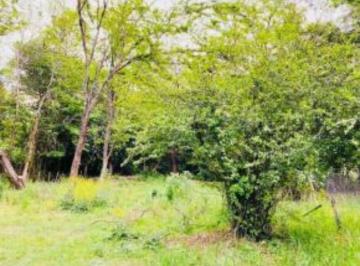 Terreno 1010m² Venta · Venta de Lote en Villa General Belgrano - Tlc0649