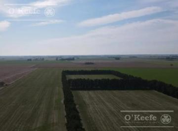 Campo · 290000m² · Chacra de 29 Has en Venta en Baradero - Ideal Fin de Semana y Producción Agrícola