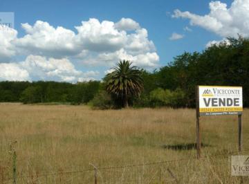 Campo · 6ha · Campo - Ranchos
