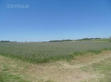 Campo · 100000m² · 1 Ambiente · Venta Campo Carmelo Ruta 21