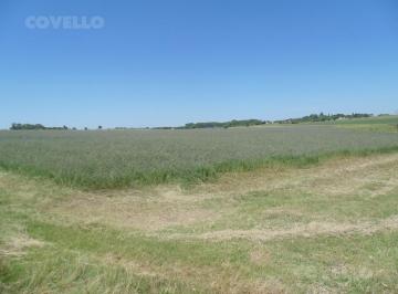 Campo · 100000m² · 1 Ambiente · Venta Campo Carmelo Ruta 21