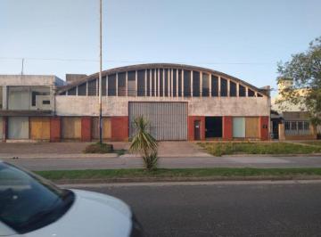Bodega-Galpón · 850m² · 2 Ambientes · Galpón - Chascomus