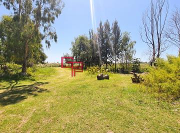 Campo de 1 ambiente, Tigre · Campo en Venta 11 Hectáreas Dique Luján, Tigre. Excelente Ubicación.