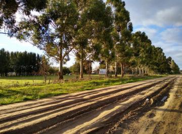 Terreno · 3975m² · Terreno - General Belgrano