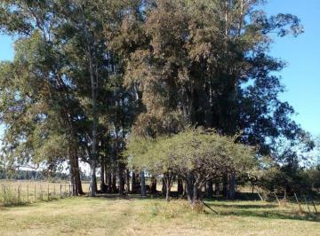 Campo de 3 ambientes, San José · Bustamante Prop Campo en Venta San Jose Colon Entre Rios