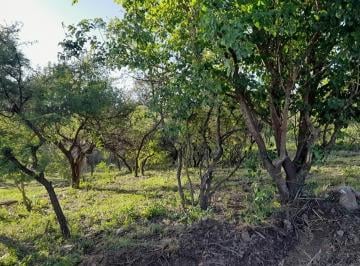 Terreno · 600m² · Lote en Venta en Cerritos de La Bolsa - Sierras de Córdoba