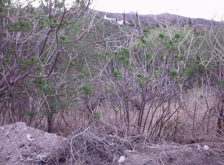 Terreno · 800m²