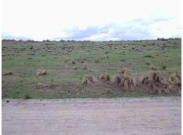 Campo · 21m² · 1 Ambiente · Campo en Venta
