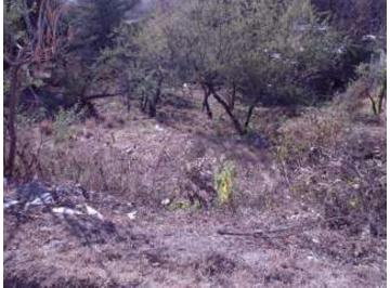 Terreno · 540m² · Terreno en Venta