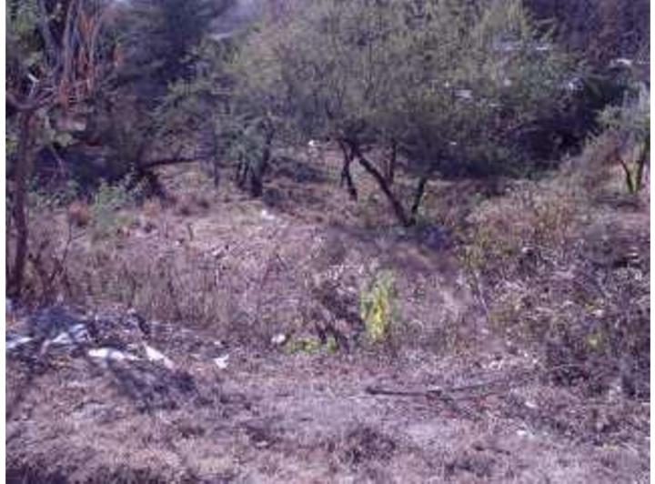 Terreno · 540m²