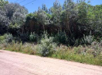 Terreno , Exaltación de la Cruz · Hermoso Lote Forestado en El Remanso