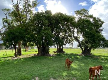 Foto1 · Campo con Gran Potencial