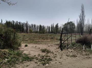 DKA-DKA-262_2 · Lote. | Guerrico Al 2800