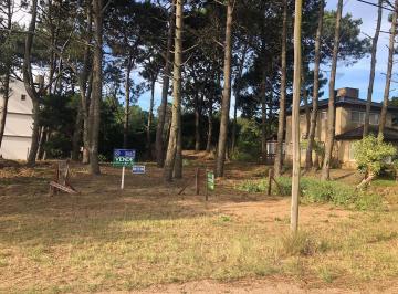 Terreno · 464m² · Lote Sobre Asfalto, Av 4 a 5 Cuadras de La Playa