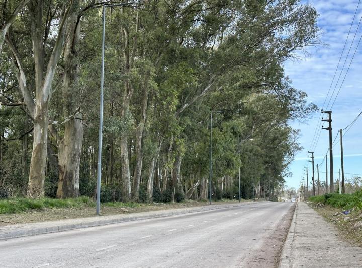 Terreno · 306m²