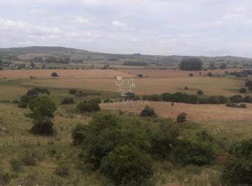 Foto1 · Campo 5 Has Cerca de Pueblo Eden - Codigo 5463
