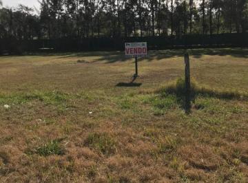 Terreno · 1m² · Vendo Dos Lotes de Terreno en Roldan.