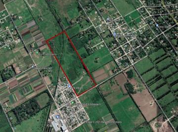 Campo · 150000m² · Campo - Belen de Escobar