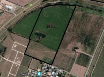 Campo · 190000m² · 1 Ambiente · 19 Ha, Cerca del Pueblo!
