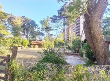 GIA-GI1-2364_2 · Alquiler Temp Casa 3 Amb Lote 3000 m² Zona Bosque C. Gesell