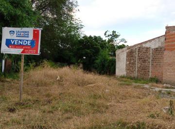 FAE-FAE-427_2 · Lote. | Cavallari Al 2800