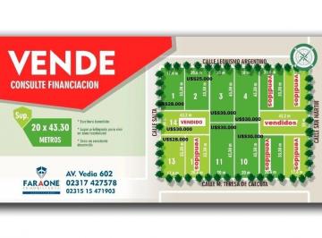 FAE-FAE-446_2 · Lote. | San Martin Al 4700