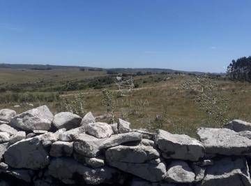Foto1 · Campo en Carape - Departamento de Maldonado