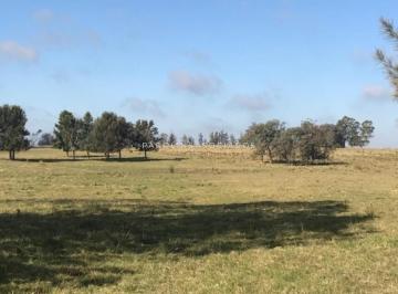 Foto1 · Chacra 5 Ha en Haras de Medellin, Punta del Este