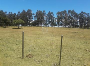 Foto1 · Campo por Ruta 12 con Muy Buena Casa