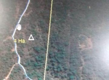 Foto · Venta Campo Agua de Oro - 4 Ha - con Arroyo