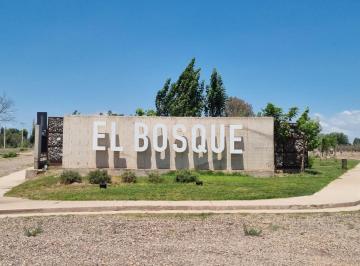 Terreno · 349m² · Lote en Venta - Maipú - Mendoza