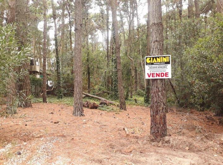 Terreno · 450m²
