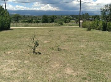 Terreno , Panaholma · Venta de Lotes en Solares de Panaholma Cordoba