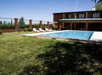 FRI-FRI-614_2 · Divina Quinta en San Rafael - Viña, Ciruelos y Chalet - 10ha
