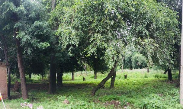 Terreno · 1120m²