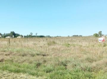FAE-FAE-454_2 · Lote. | Ruta Provincial 65 Al 100