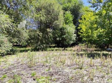 GNP-GNP-685_2 · Lote en Venta en Lomas Altas Chascomus