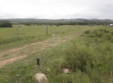 Foto1 · Campo de 5 Has con 5891 m²