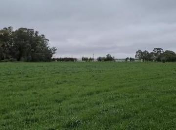 Campo · 400000000m² · 6 Has en Venta en Colonia del Sacramento - Uruguay